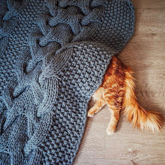 cat3