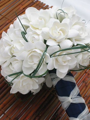 gardenia