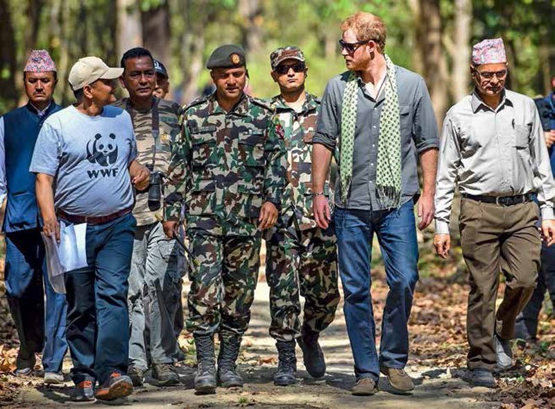 princeharry4