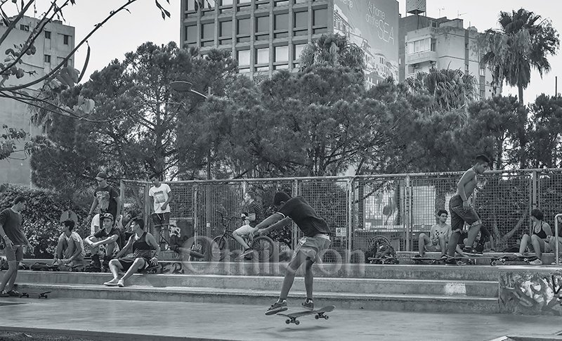 skateboardes