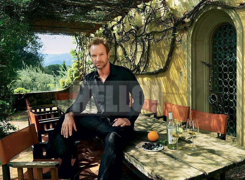 sting5