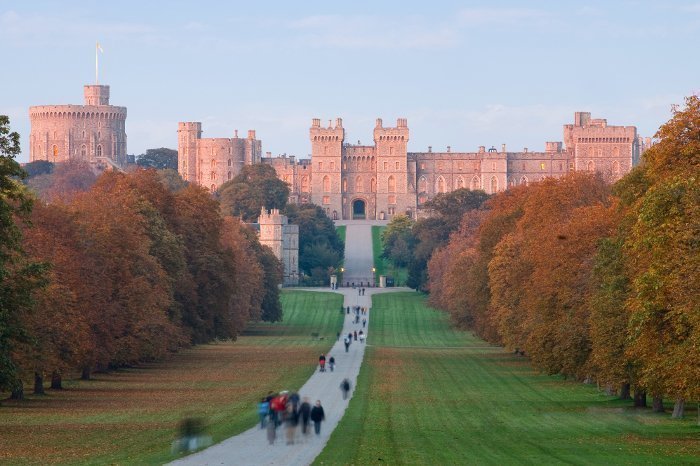windsor1