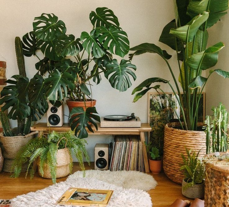 Creating A Jungle Record Corner — Black & Blooms (1)