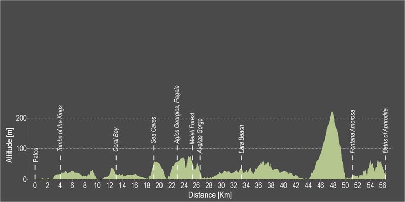 Main 17 Profile