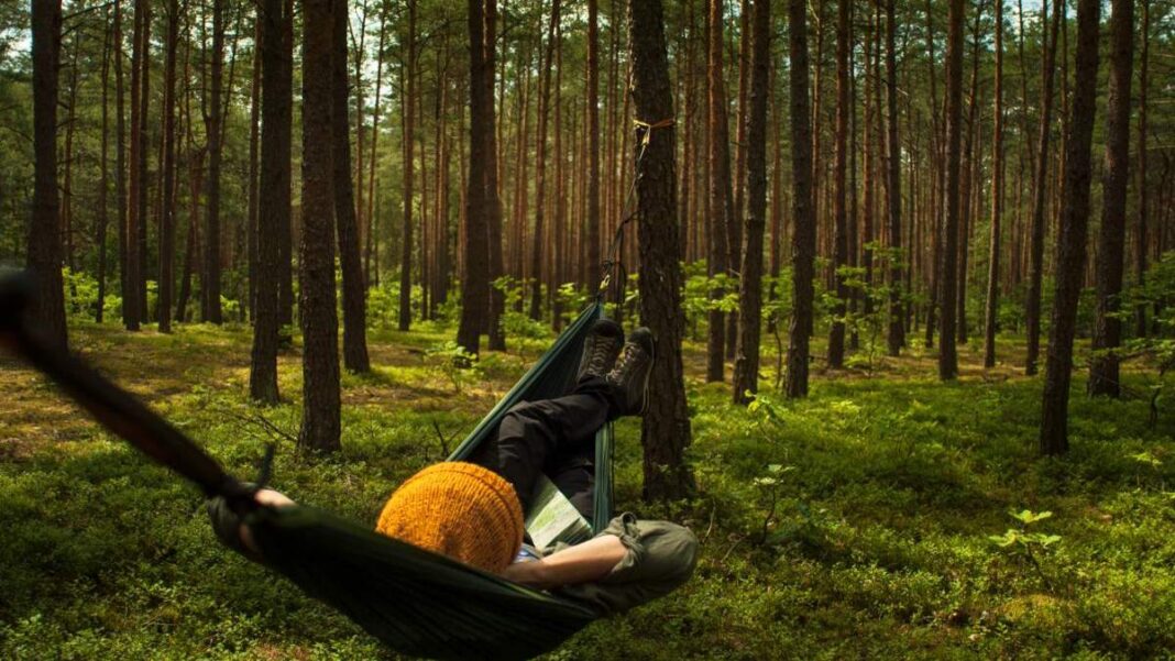 Slow Travel 1068x601