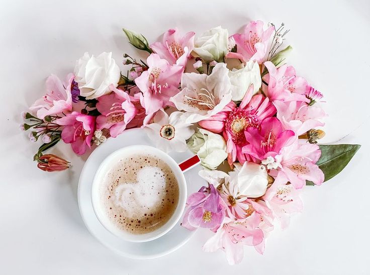 Coffee Zodia Spring