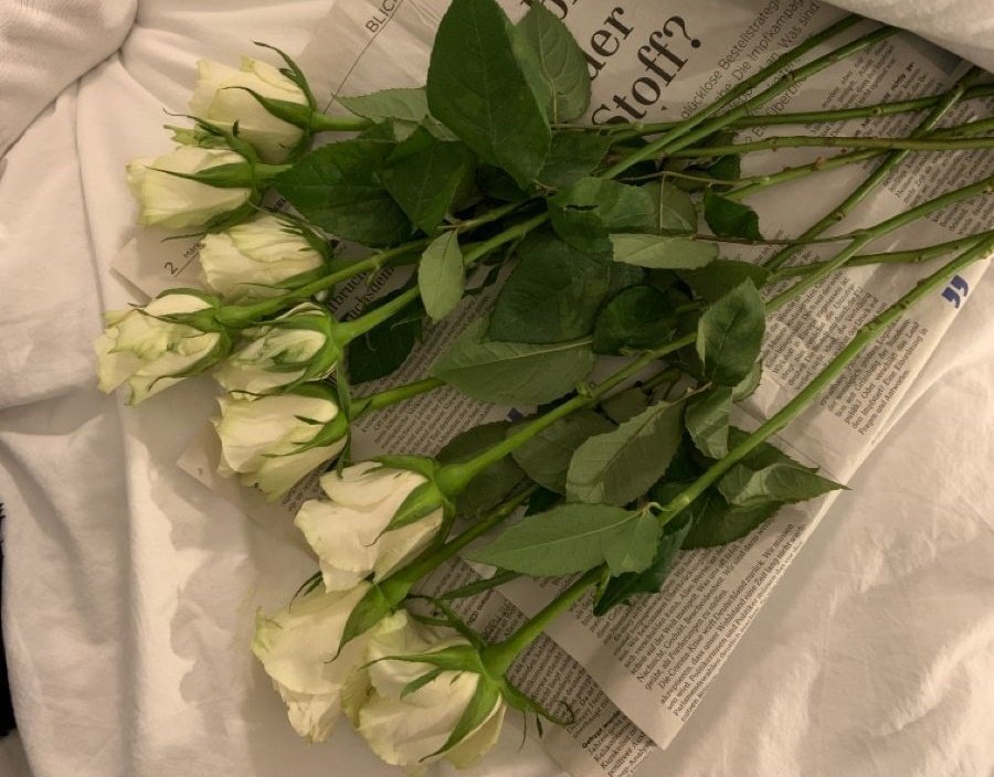 White Roses