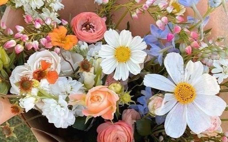 Flowersxxxx