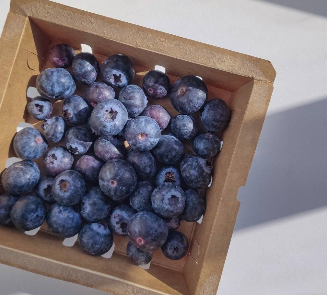 Blueberries Aesthetic