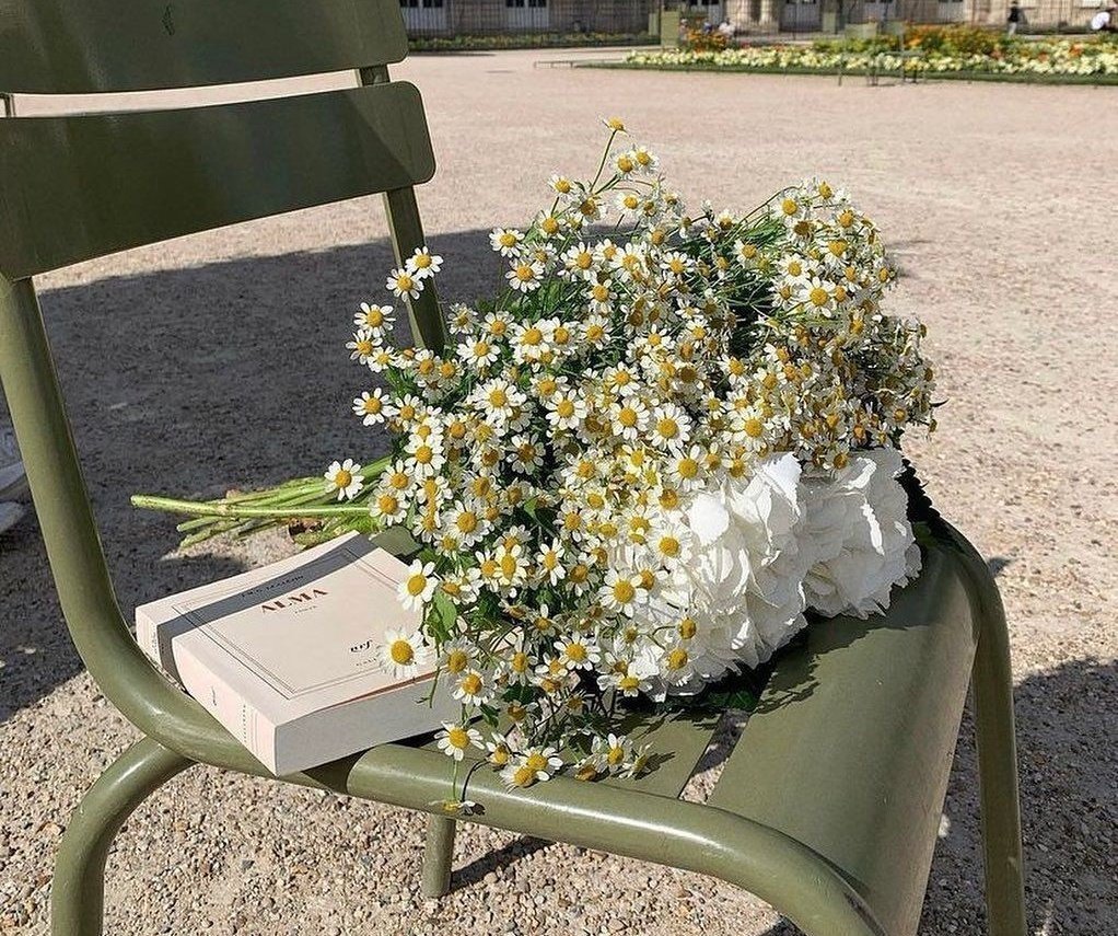 Daisies On Green Chair