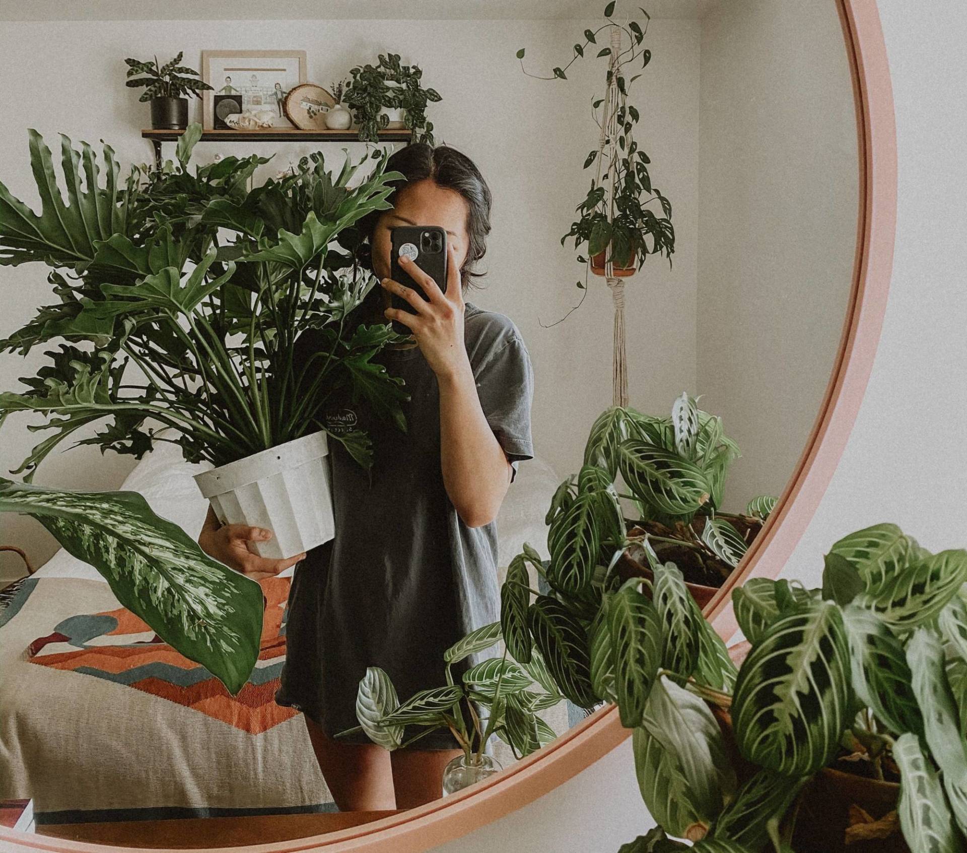 Indoor Plants In The Bedroom Our Houseplant Tour
