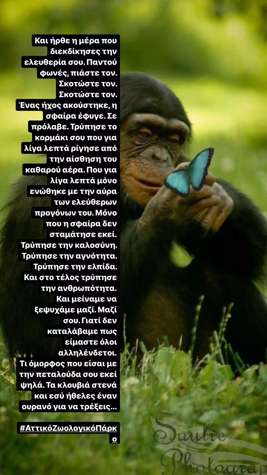 Papadopoulou Evridiki 2869155684605351935