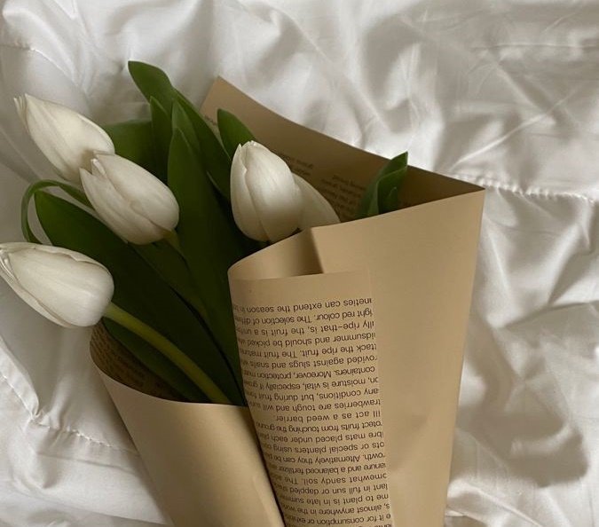Tulips 3