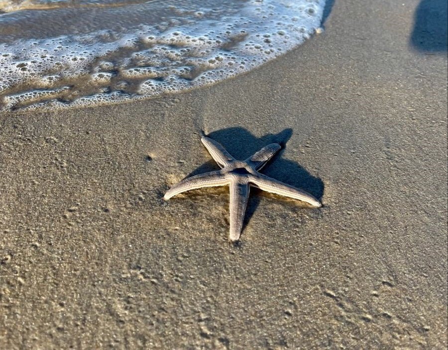 Virginia Beach