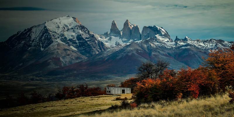 Patagonia Fysh