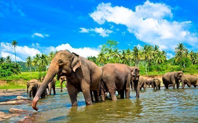 Sri Lanka (2)