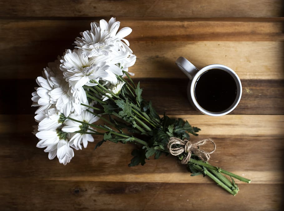 Coffee Flowers