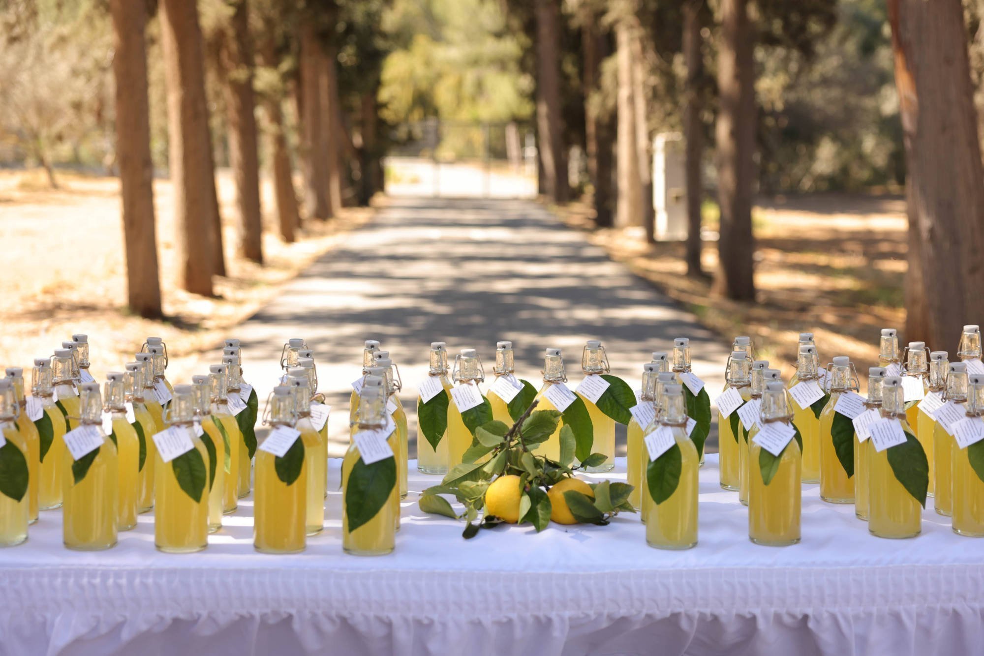 lemonada
