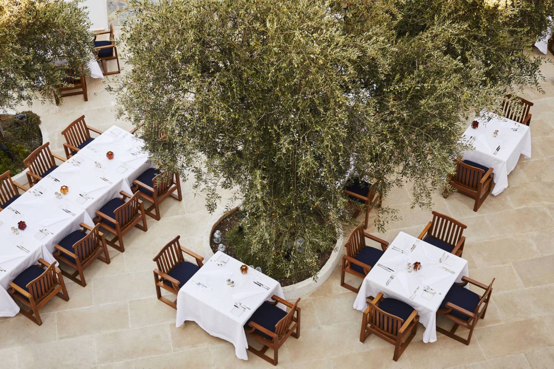 Anassa2019 356
