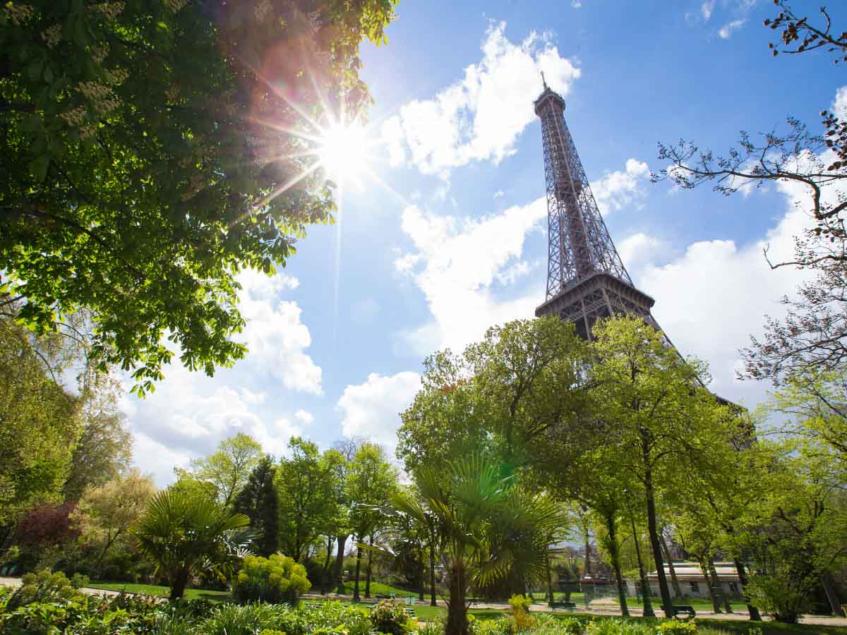 Eiffel Tower In Summer