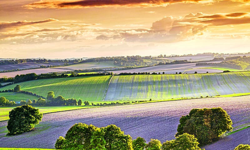 Sunset Over The North Wessex Downs In Wiltshire.. Image Shot 10/2016. Exact Date Unknown.