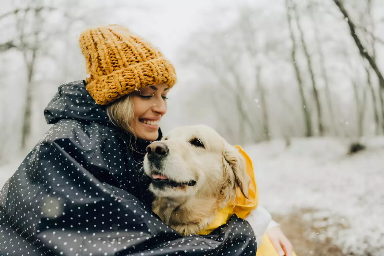 Istock 1222600361