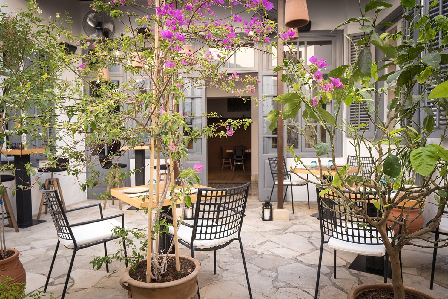 Lb Terrace (1)