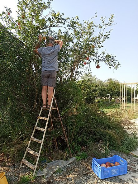 Akoma Kai Mia Skini Tis Kathimeronitas Me Ton Patera Tou, Apotelei Empnefsi
