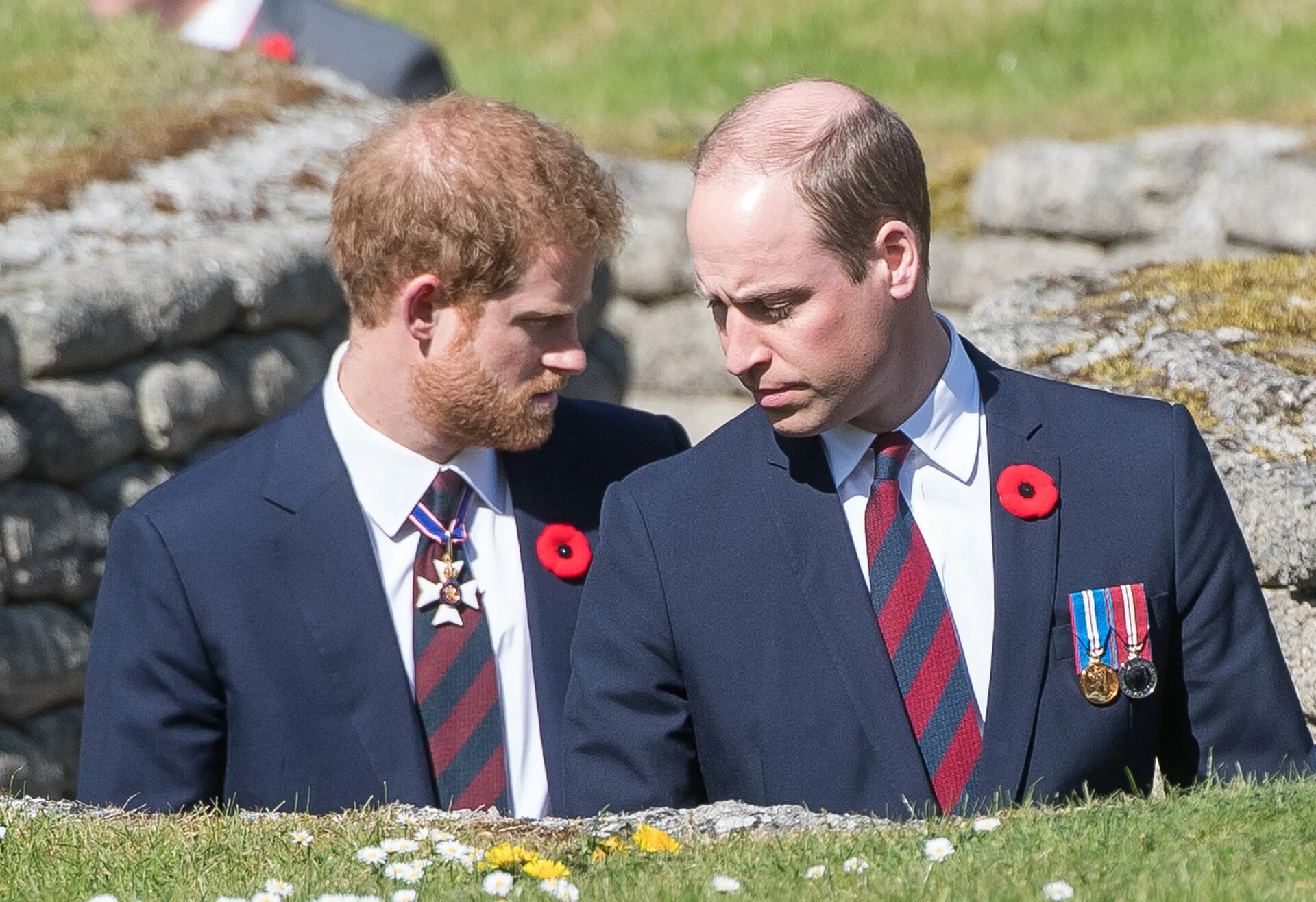 Harry William