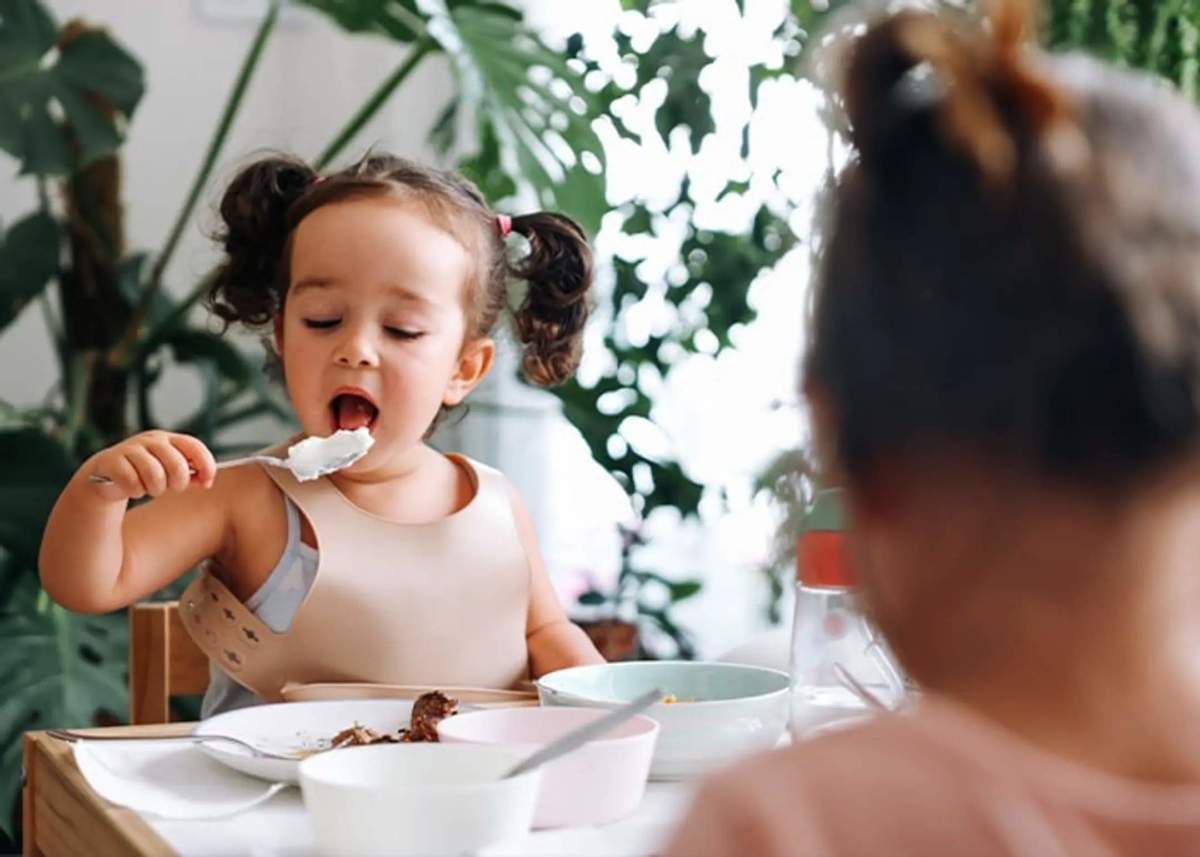Yogurt1