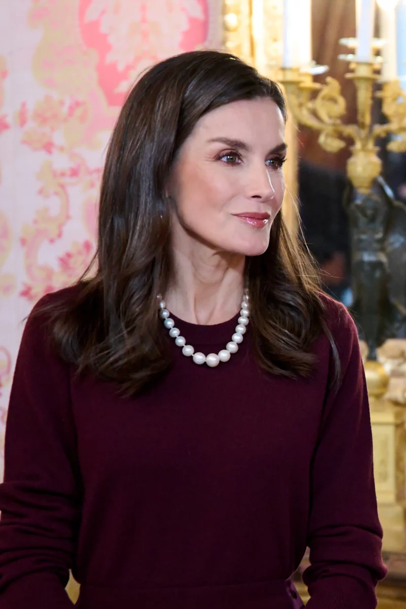 Queen Letizia Burgundy Dress 3