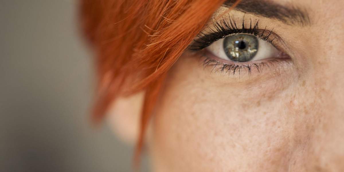 Zeiss The Human Eye H