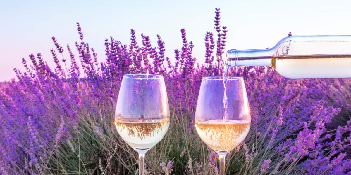 Lavender Wine Panorama. White Wine Poured From A Bottle Into Glasses Against A Lavender Field Background