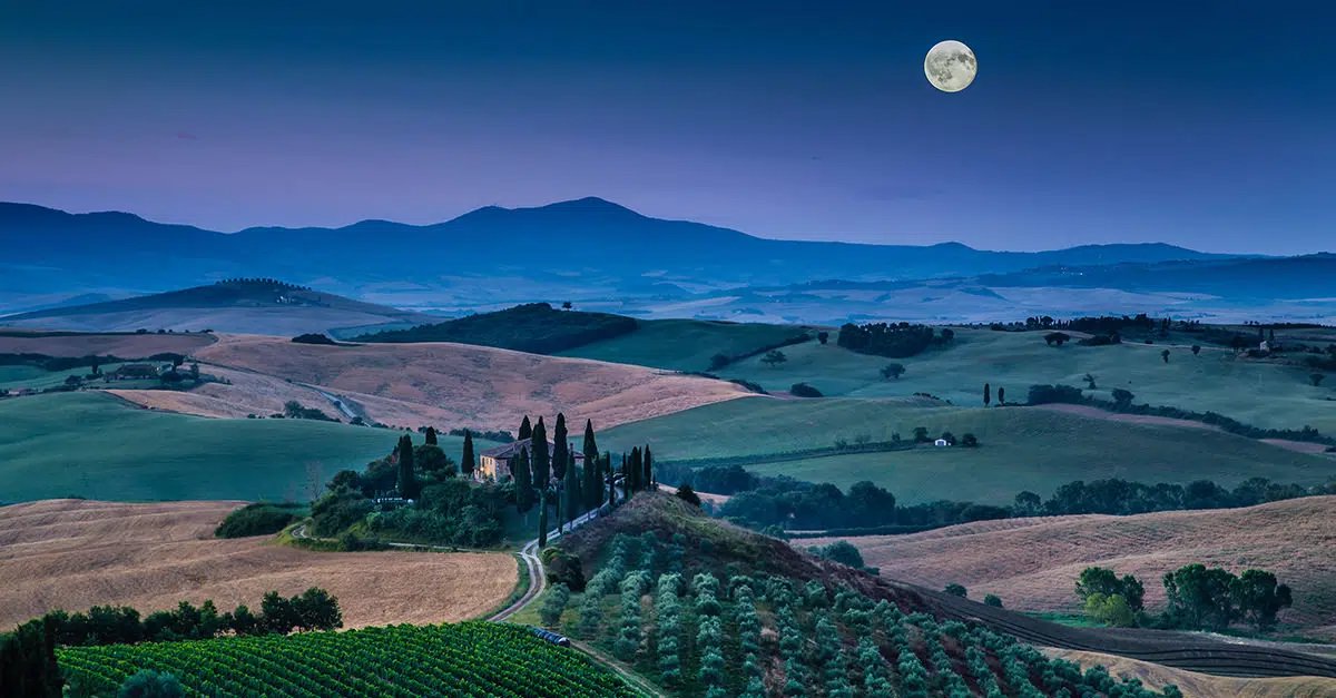 Biodynamic Wine Everything You Need To Know Moon Over The Vinyard