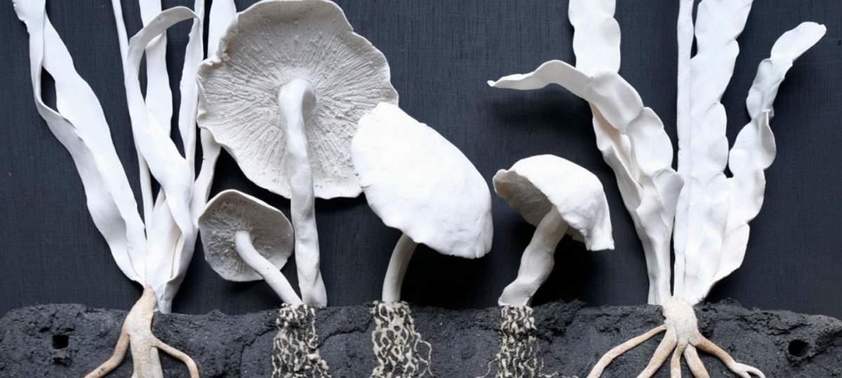 Soil Jo Pearl Unearthed Draft Webpage Header