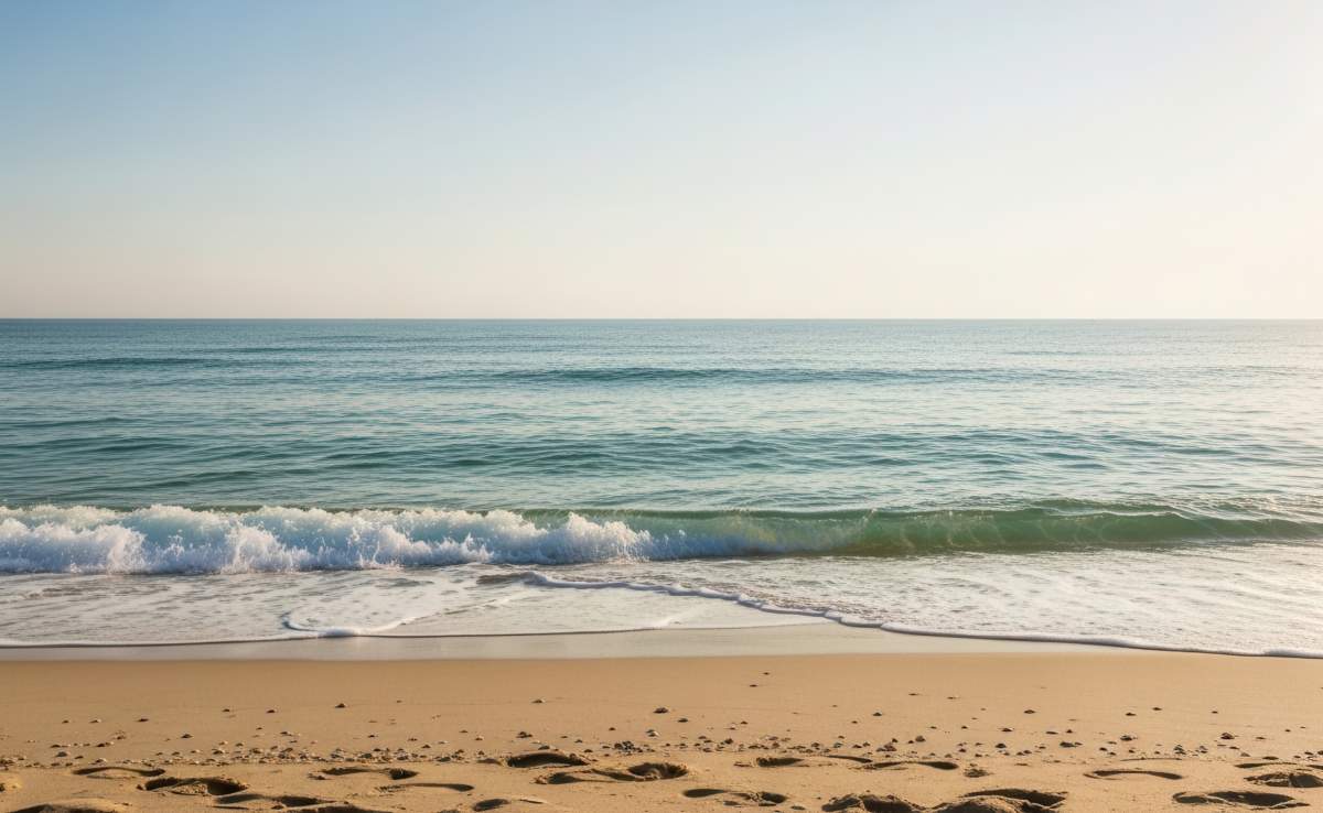 Tranquil Beach Scenery With Gentle Waves Clear Sky