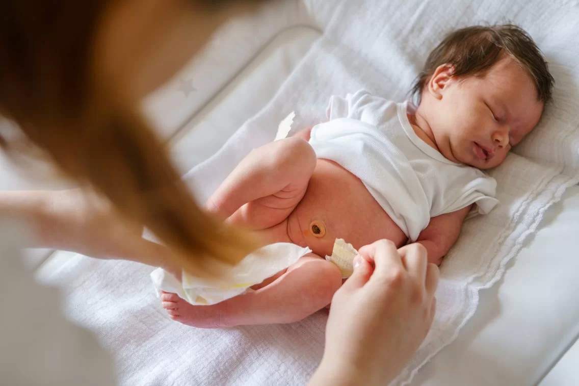 Umbilical Cord
