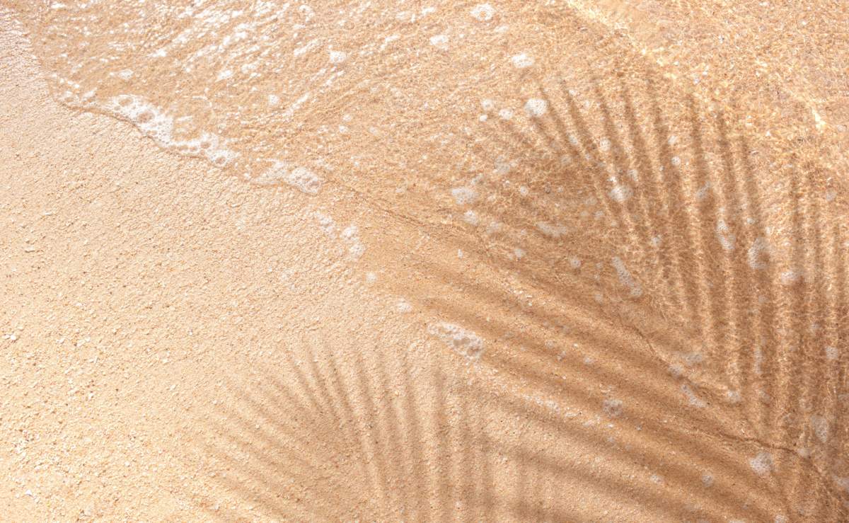Selective Focus Of Summer And Holiday Backgrounds Concepts With Shadow Of Coconut Leaf On Clean Sand Beach