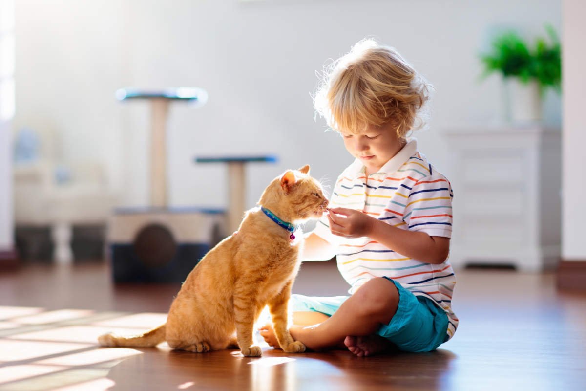 pet