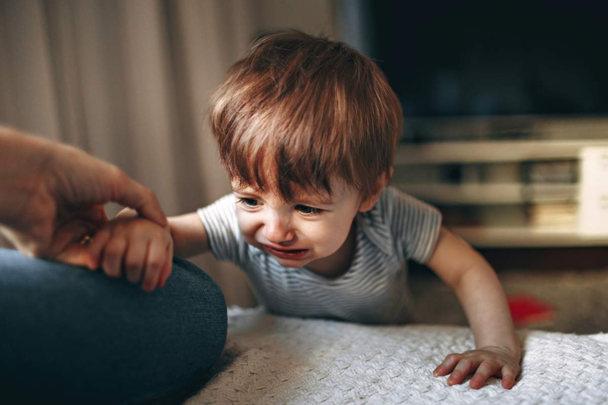 Helena Lopes Wswhjpggey4 Unsplash