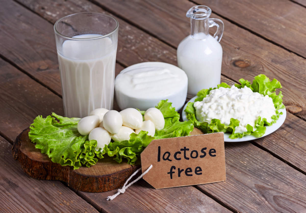 Milk, Yogurt, Mozzarella And Cheese With Background Lactose Free Food
