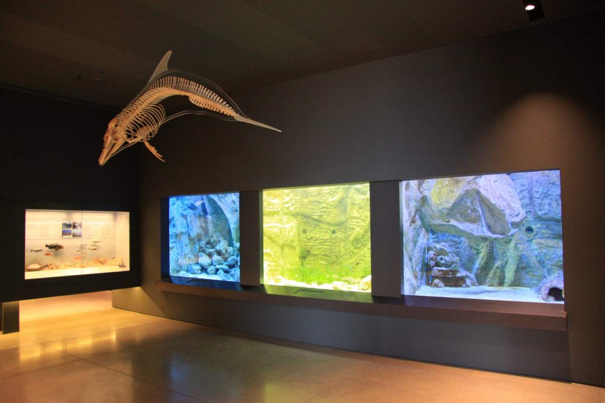 Thalassa Museum 2048x1365