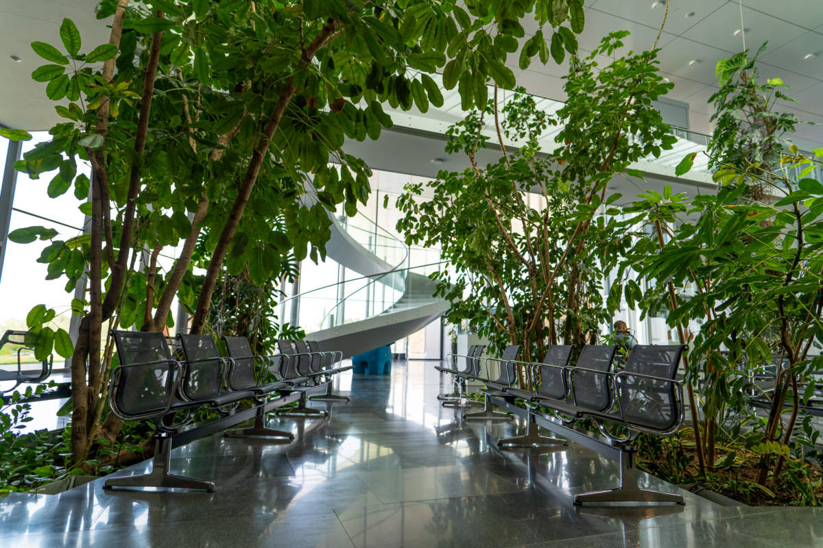 Amc Nicosia 4