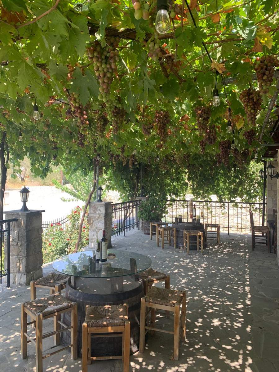Tsangkaridis Winery