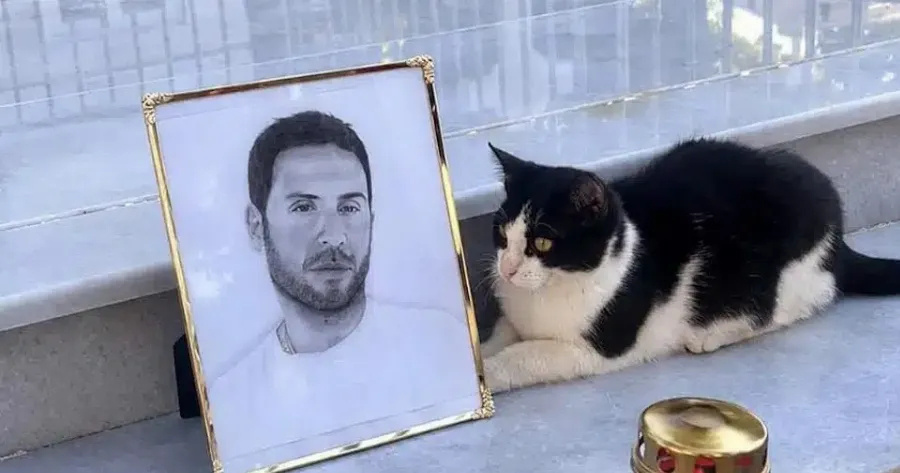 Giorgos Mazonakis I Gata Mailo Pou Menei Ston