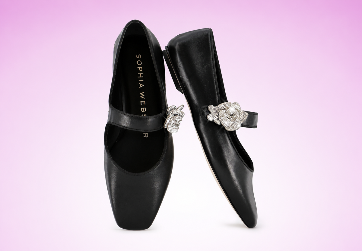 Shoes Webster